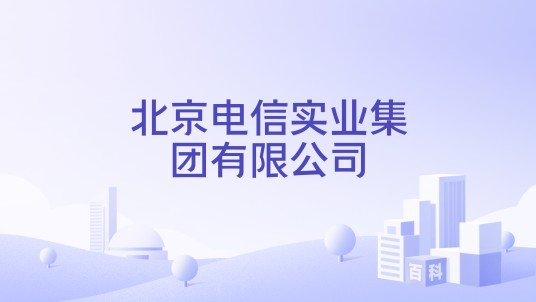北京电信实业集团有限公司