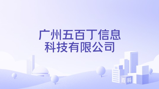 广州五百丁信息科技有限公司