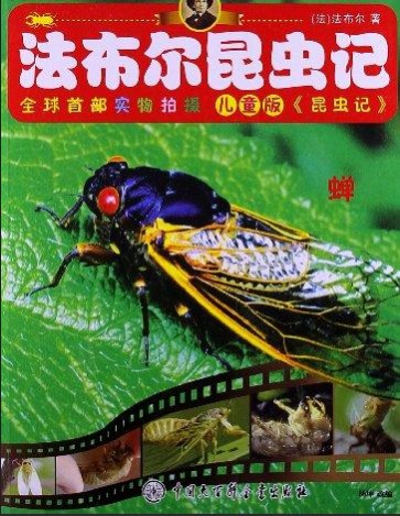法布尔昆虫记：蝉