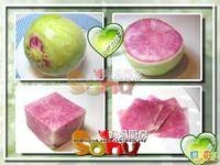 心里美（萝卜品种）