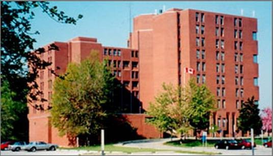 宝迪学院