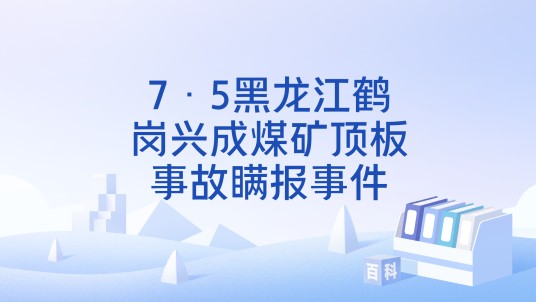 7·5黑龙江鹤岗兴成煤矿顶板事故瞒报事件