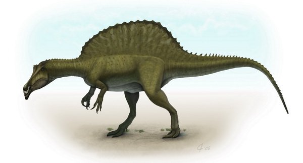 dinosaur  S是什么恐龙