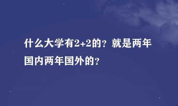 什么大学有2+2的？就是两年国内两年国外的？