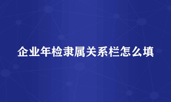 企业年检隶属关系栏怎么填