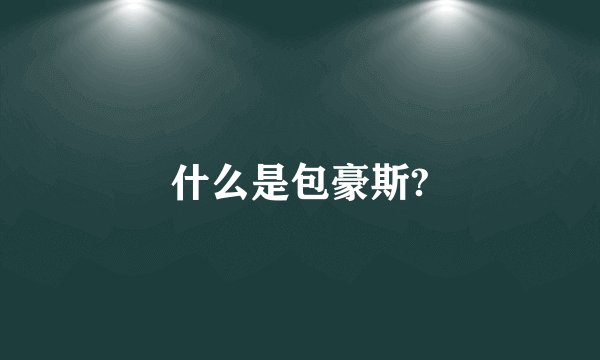什么是包豪斯?