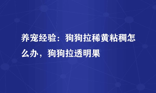 养宠经验：狗狗拉稀黄粘稠怎么办，狗狗拉透明果