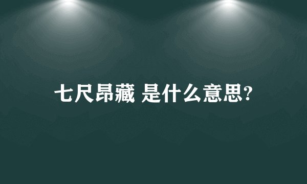 七尺昂藏 是什么意思?