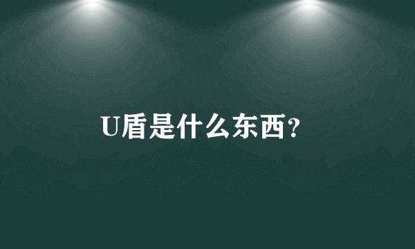 U盾是什么东西？