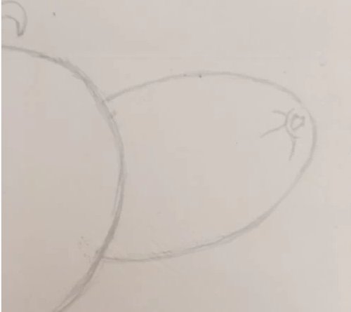 哈密瓜怎么画简笔画