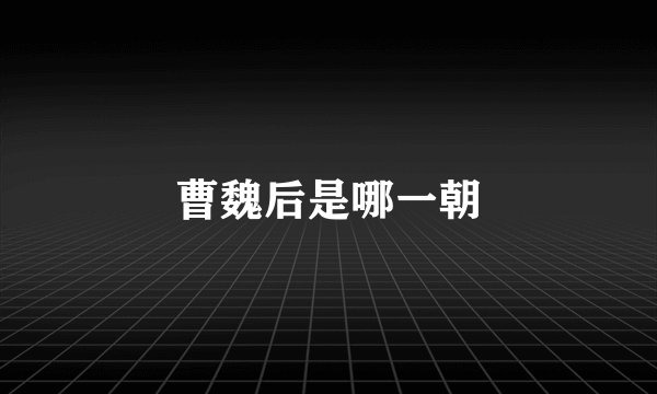 曹魏后是哪一朝