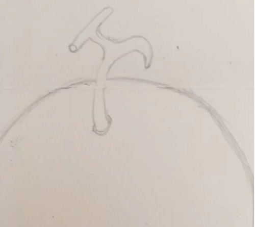 哈密瓜怎么画简笔画