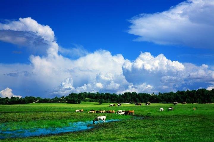 如果想去内蒙旅游,你知道最佳路线是什么吗?