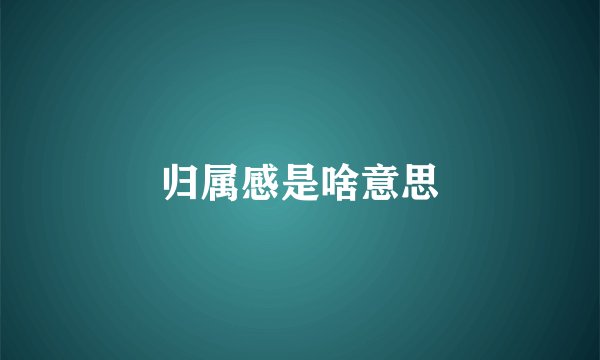 归属感是啥意思