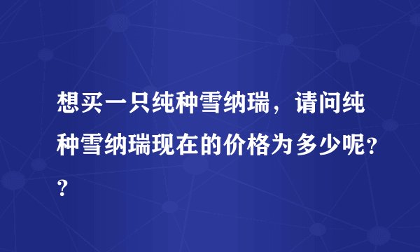 想买一只纯种雪纳瑞，请问纯种雪纳瑞现在的价格为多少呢？？