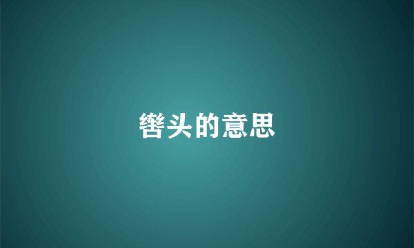 辔头的意思