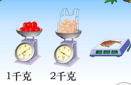 重量“Kg”是指公斤还是斤？