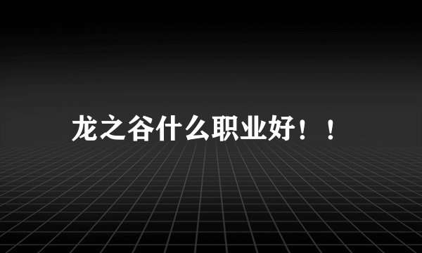 龙之谷什么职业好！！