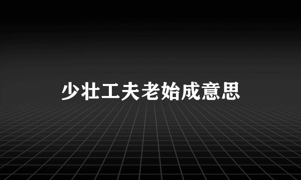 少壮工夫老始成意思