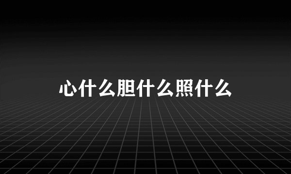 心什么胆什么照什么
