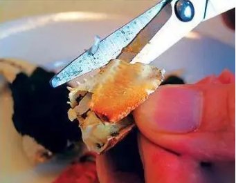 螃蟹的吃法剥法图解