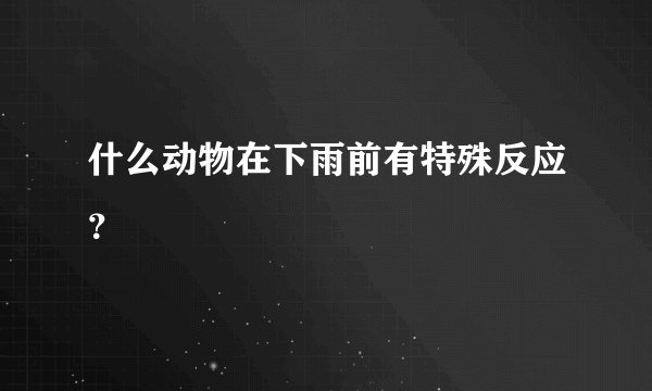 什么动物在下雨前有特殊反应？