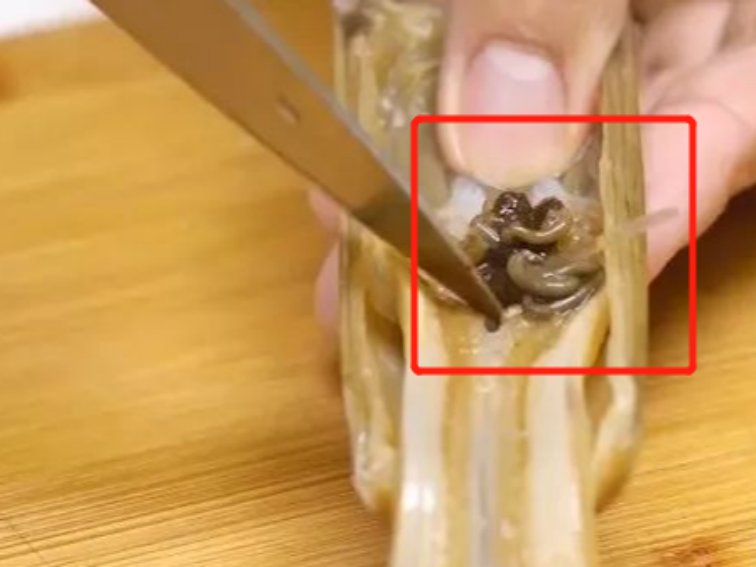 蛏子的哪个部位不能吃图解怎么洗