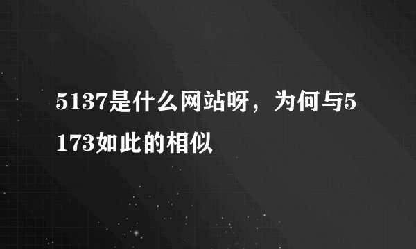 5137是什么网站呀，为何与5173如此的相似