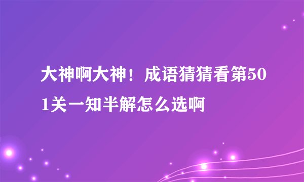 大神啊大神！成语猜猜看第501关一知半解怎么选啊