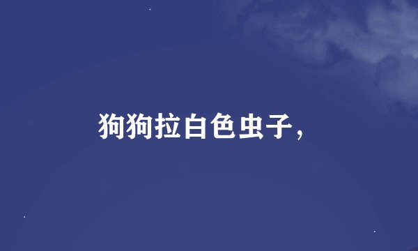 狗狗拉白色虫子，