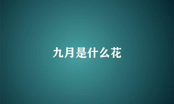 九月是什么花