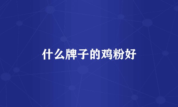 什么牌子的鸡粉好