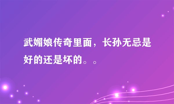 武媚娘传奇里面，长孙无忌是好的还是坏的。。