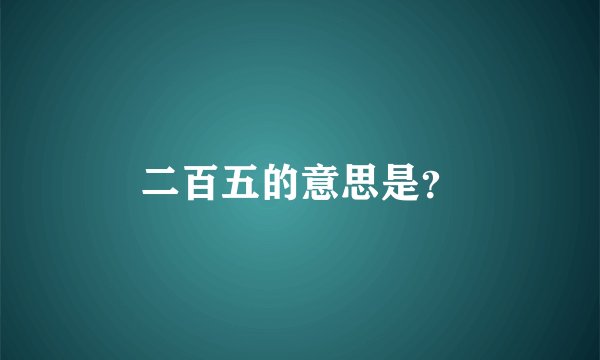 二百五的意思是？