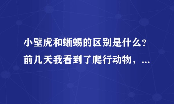 小壁虎和蜥蜴的区别是什么？前几天我看到了爬行动物，不知道是小壁虎还是蜥蜴
