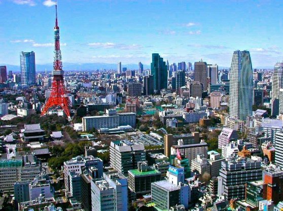 日本文化的主要特点是什么?