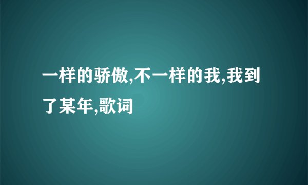 一样的骄傲,不一样的我,我到了某年,歌词