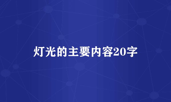 灯光的主要内容20字