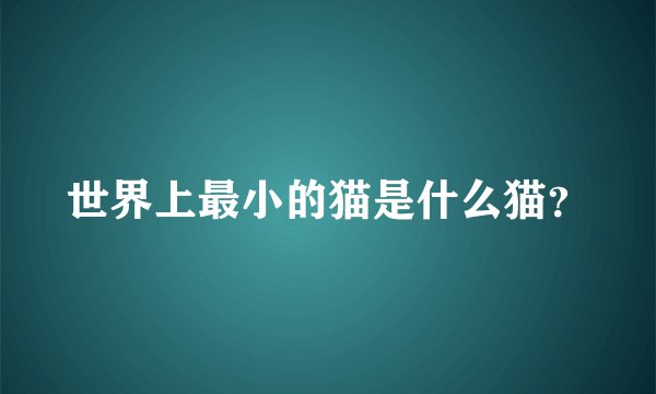 世界上最小的猫是什么猫?