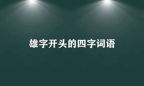雄字开头的四字词语