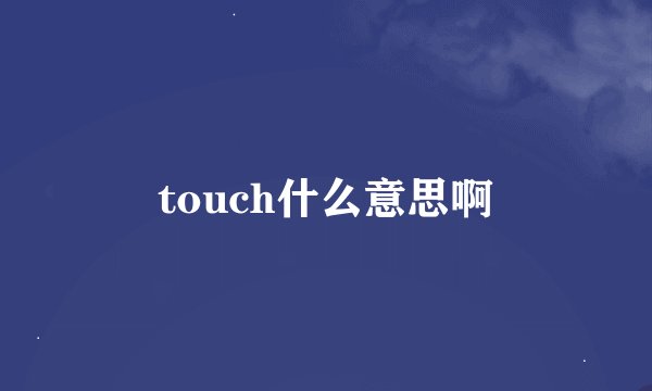 touch什么意思啊