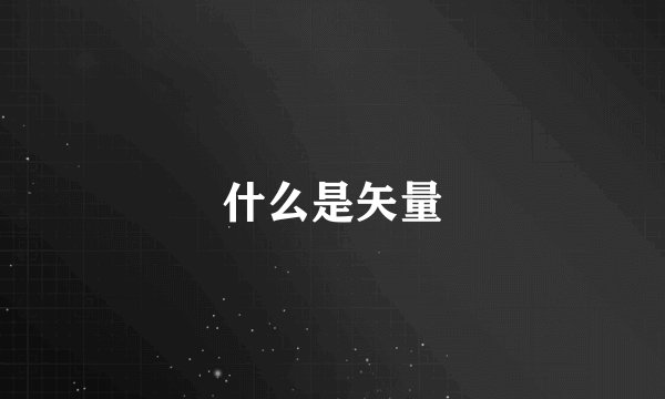 什么是矢量