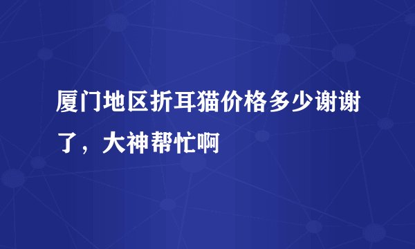 厦门地区折耳猫价格多少谢谢了，大神帮忙啊