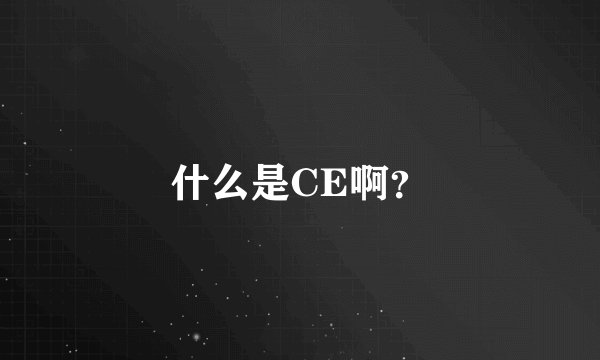 什么是CE啊？