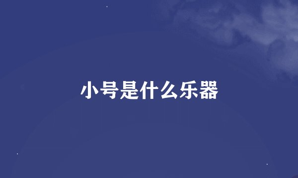 小号是什么乐器