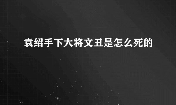 袁绍手下大将文丑是怎么死的