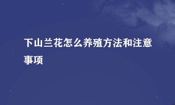 下山兰花怎么养殖方法和注意事项