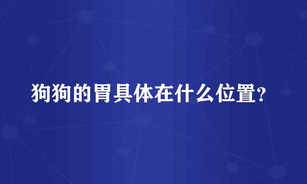狗狗的胃具体在什么位置？