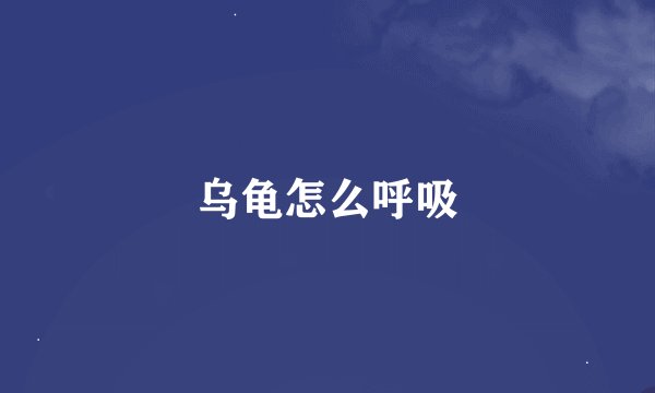乌龟怎么呼吸