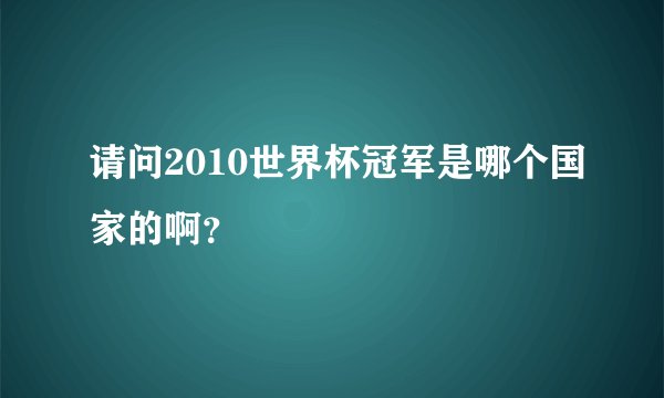 请问2010世界杯冠军是哪个国家的啊？